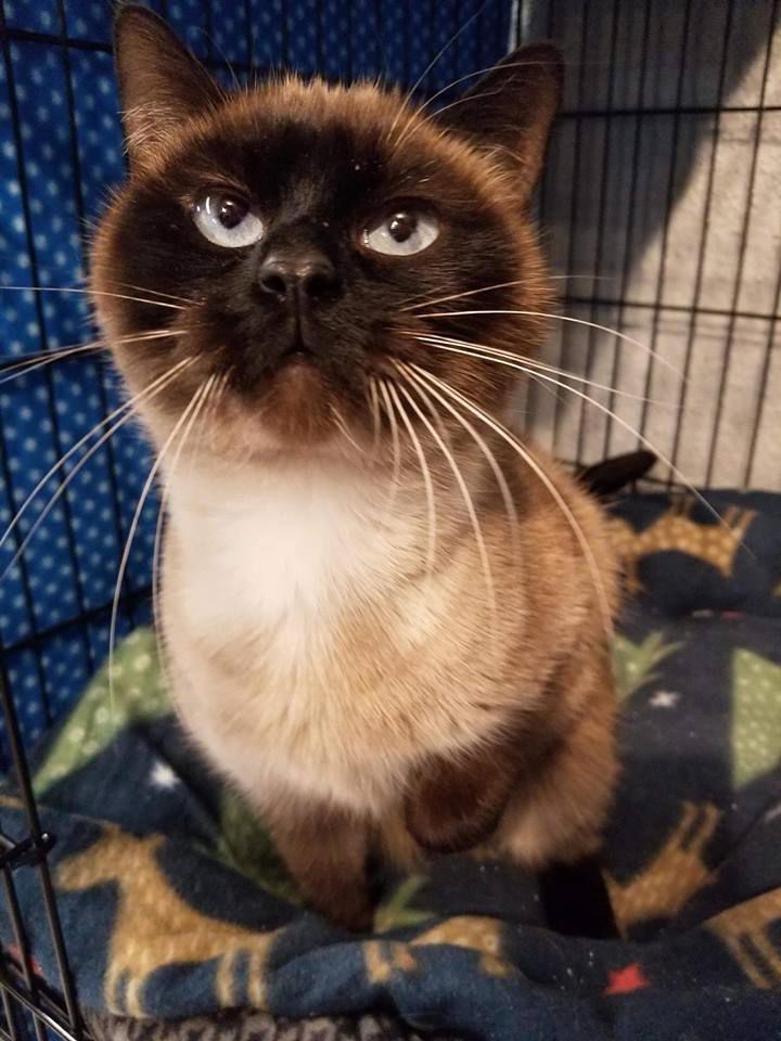 Pandora